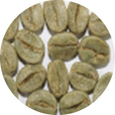 Arabica Plantation green coffee beans
