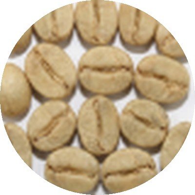 Robusta Parchment green coffee beans