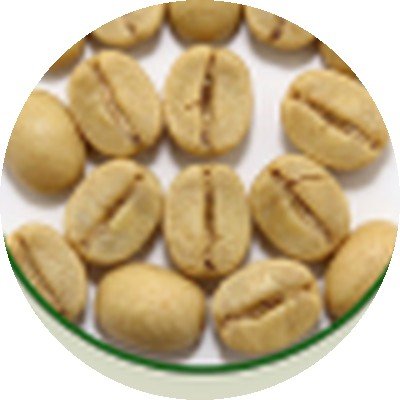 Robusta Kaapi Royale green coffee beans